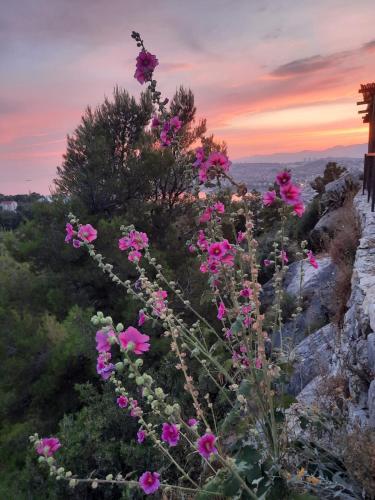  Apartmani Dario in Podstrana