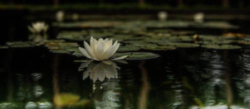 Maison Anthica chambre d'hôte Seilles