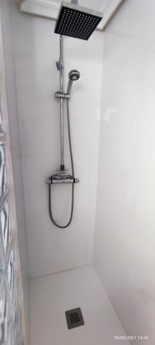 Trípolis Toledo Trípolis Toledo