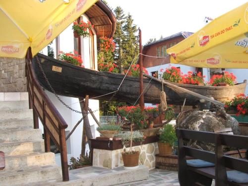 Ancora, Predeal (Foto 9)