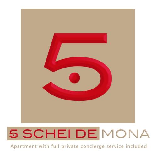 5 SCHEI DE MONA Best Holiday Apartment with Gym in Venice Cannaregio, Wenecja (zdjęcie 5)