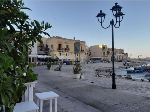 Perotti 23, Bisceglie (Foto 6)