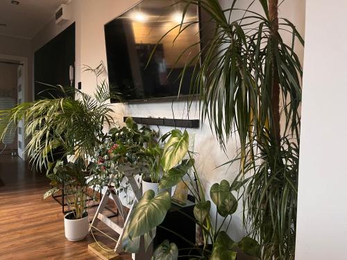 Apartament Wzgórze Gedymina