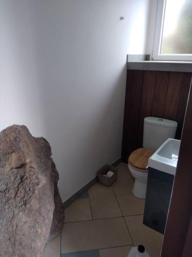 Stephane in Pointe-Noire