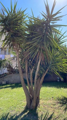 Campofelice Casa vacanza, Palermo (fotografie 6)