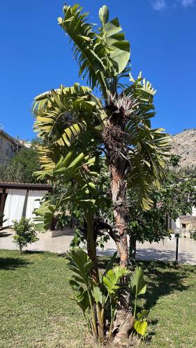Campofelice Casa vacanza, Palermo (fotografie 5)