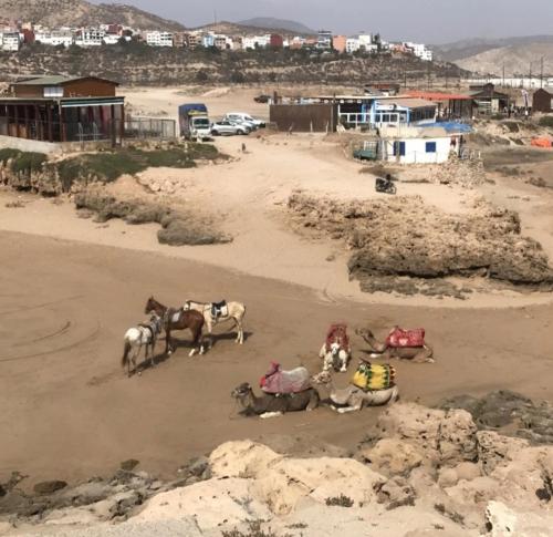 location vacance aourir agadir