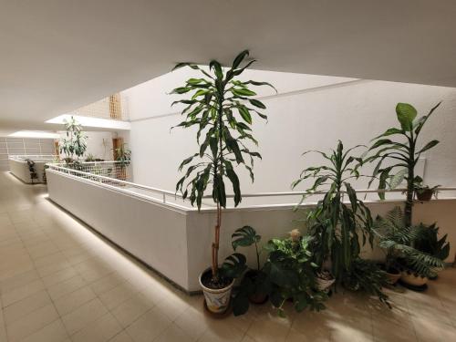 Alojamiento ENTERO en Madrid, con ACCESO PRIVADO, Madrid (foto 11)