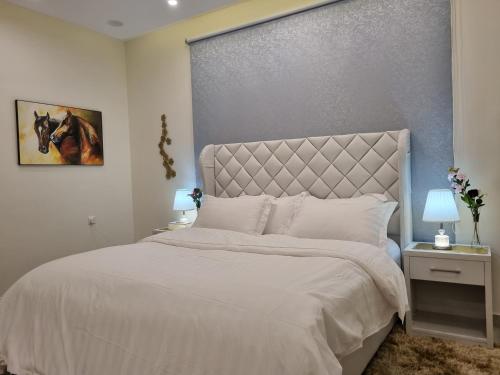ملحق فخم جداً بمدخل وسطح مستقلين قرب لافندا بارك, Abha (zdjęcie 2)