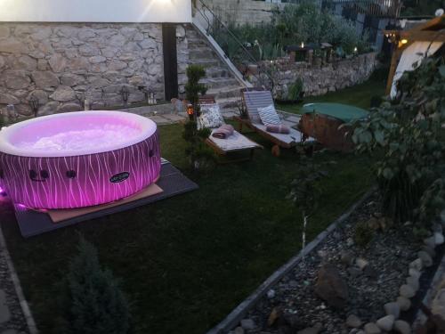 The Little Blue House in Valiug