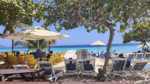 Modern sunshine yellow apartment with nature views in 特拉科拉