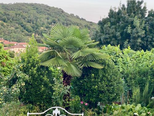 Quinta das flores in Sezulfe