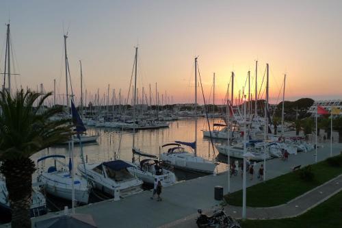 Le Quai d'Honneur Vue Port de Plaisance - Location saisonnière - Le Grau-du-Roi