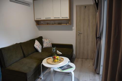 OreMore - Premium mobile home - Oaza Mira Camping, Drage, Drage (photo 9)