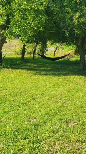 Guest house Vuk in Mojkovac