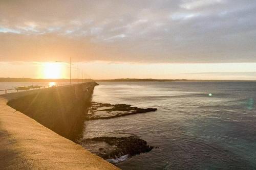 Bluey, Warrnambool (fotografie 7)
