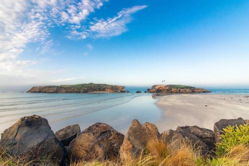 Bluey, Warrnambool (fotografie 8)