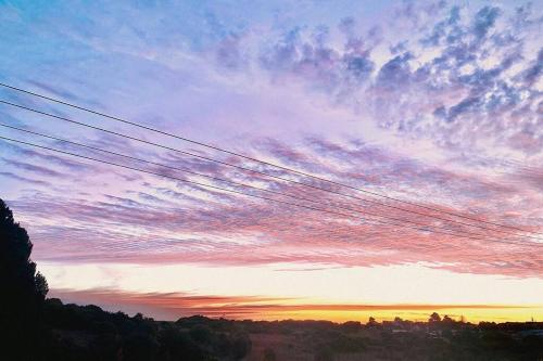 Bluey, Warrnambool (fotografie 9)