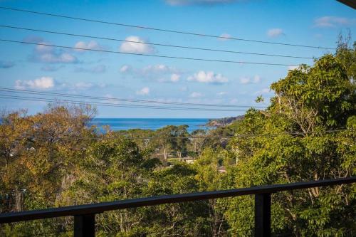 Beachwood - Pambula Beach