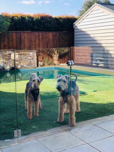 The Tranquil Retreat - Safety Beach