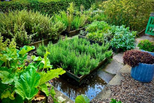 Sallingsund Færgekro - image 14