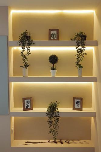 Zona Optimizma accommodation & SPA Zona Optimizma accommodation & SPA