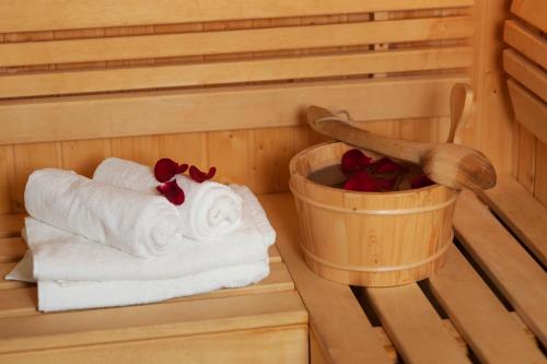 Saun, Zona Optimizma accommodation & SPA in Vršac