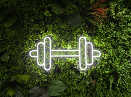 Zona Optimizma accommodation & SPA Zona Optimizma accommodation & SPA