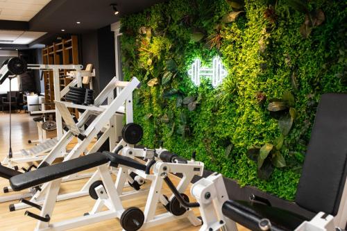 Zona Optimizma accommodation & SPA Zona Optimizma accommodation & SPA