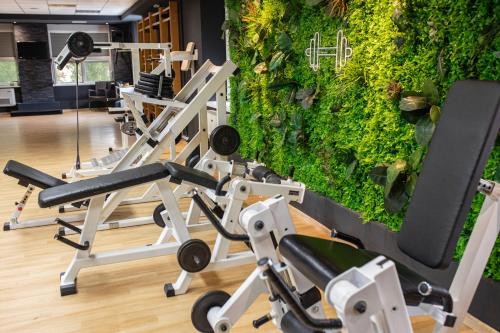 Zona Optimizma accommodation & SPA Zona Optimizma accommodation & SPA