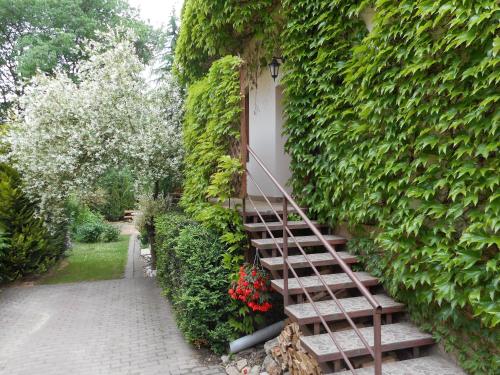 Apartmán Dobrá Naděje