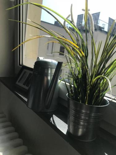 Hamburg Room - image 14