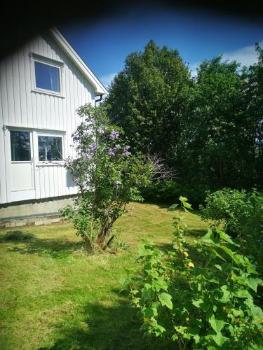 . Utleiebolig Fannrem