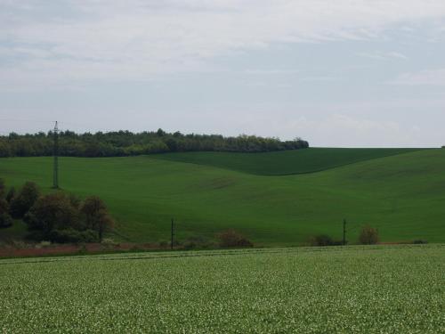 Vilka Relax – Podhajska, CA