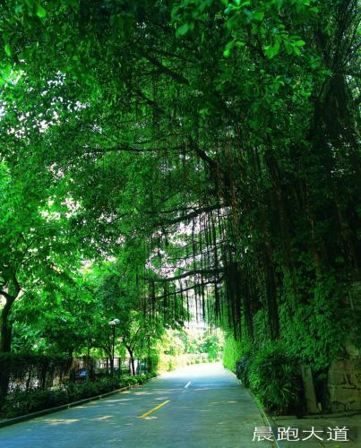 厦门宾馆（中山路万石植物园酒店）