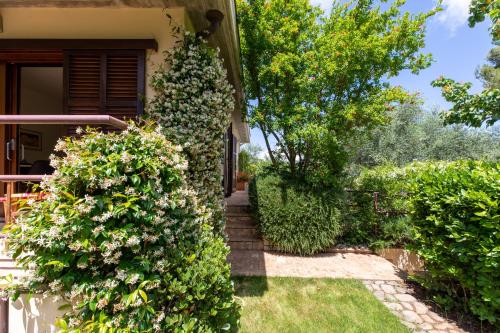 HospitalityRome Beautiful Villa with garden