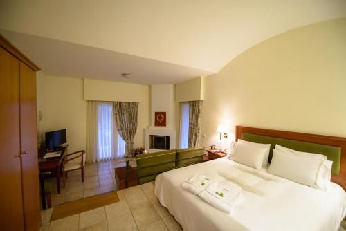 Olympion Asty Hotel in Flokas (Olympia)
