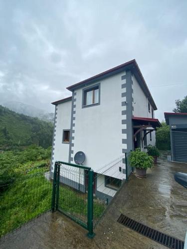 Duplex House in Nature