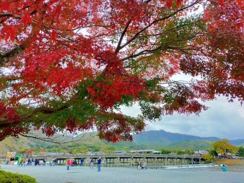 Kadensho, Arashiyama Onsen, Kyoto - Kyoritsu Resort