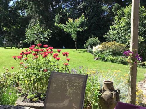 La Petit Fleur - the little flower, cosy cottage in Saint-Michel-de-Montjoie