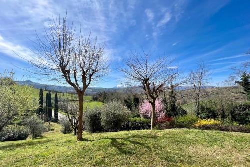 casa mimose rosa II in Sant' Angelo in Pontano