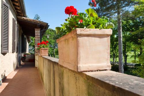 Agriturismo San Galgano