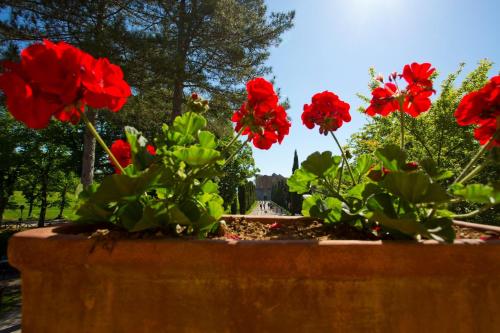 Agriturismo San Galgano