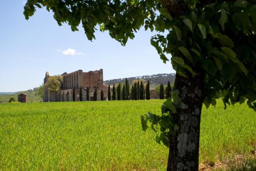 Agriturismo San Galgano