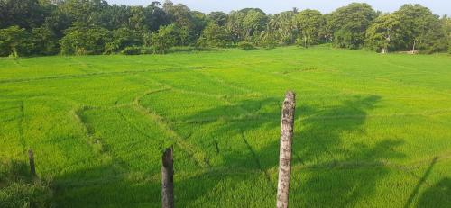 Anuradhapura Kingdom View Resort