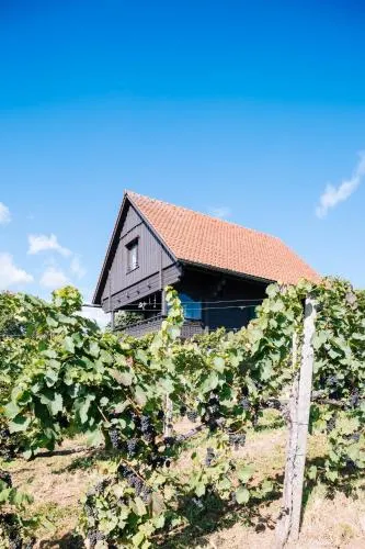 SCHILCHERLANDLEBEN - Weingartenhaus in Sankt Stefan ob Stainz, Österreich