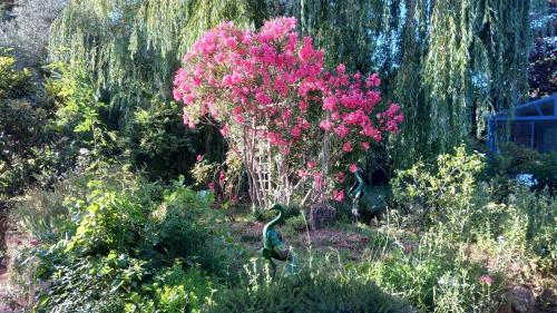 La Libellule, piscine, climatisation, wifi, vue ,jardin ,parking