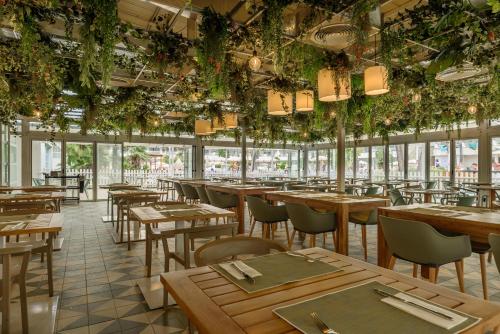 FERGUS Club Palmanova Park - 레스토랑
