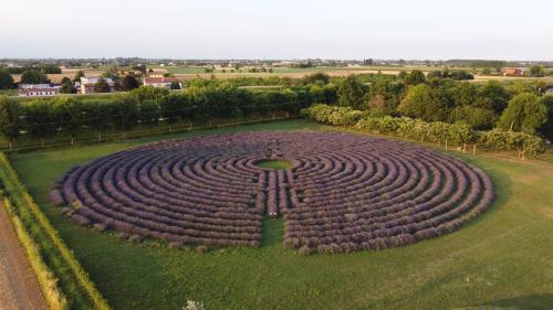  La Tenuta Va Oltre in Bovolenta