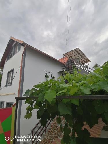 Casa OZZY&PATTY Casa OZZY&PATTY